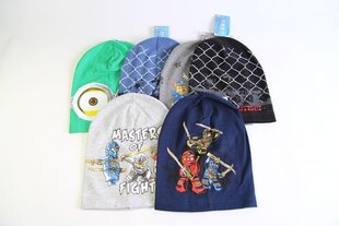 Laste kevad-sügis müts цена и информация | Шапки, перчатки, шарфы для мальчиков | kaup24.ee
