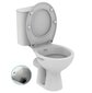 WC pott bideefunktsiooniga + prilllaud, horisontaalne väljalaskeava + kuldne segisti цена и информация | WС-potid | kaup24.ee