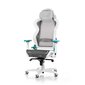 Mänguritool, DXRacer Air R1S-WQG, valge/hall/sinine hind ja info | Kontoritoolid | kaup24.ee