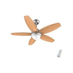 Laeventilaator Cecotec EnergySilence Aero 490 50 W hind ja info | Ventilaatorid | kaup24.ee