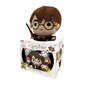 3D Pusle Wig Harry Potter (300 pcs) цена и информация | Pusled | kaup24.ee