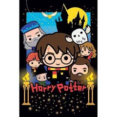 3D Pusle Wig Harry Potter (300 pcs) цена и информация | Пазлы | kaup24.ee
