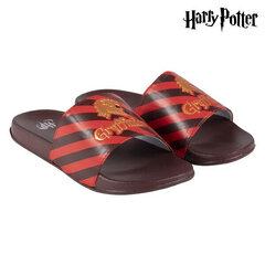Шлепанцы для детей Harry Potter цена и информация | Детская обувь для плавания | kaup24.ee
