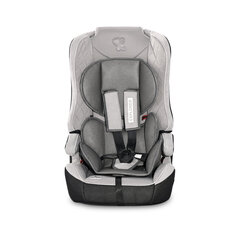 Turvatool Lorelli Explorer 9-36kg, Grey hind ja info | Turvatoolid | kaup24.ee