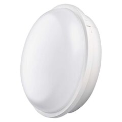 LED lae, seinavalgusti ovaalne valge IP65 20W NW цена и информация | Настенные светильники | kaup24.ee