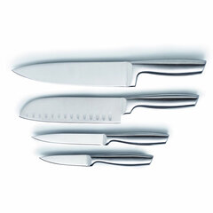 Набор ножей Masterpro Нержавеющая сталь (4 pcs) цена и информация | Столовые приборы | kaup24.ee