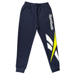 Длинные мужские спортивные штаны Reebok Big Intl, тёмно- синие S6432217 цена и информация | Шорты для мальчиков | kaup24.ee