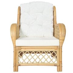 Кресло с подушками, коричневое цена и информация | Садовые стулья, кресла, пуфы | kaup24.ee