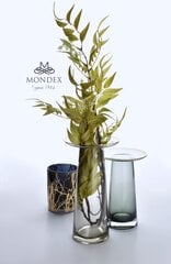 Serenite ваза 25 см цена и информация | Вазы | kaup24.ee