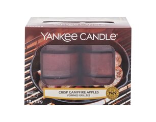 Ароматическая свеча Yankee Candle Crisp Campfire Apples 9,8 г, 12 шт цена и информация | Подсвечники, свечи | kaup24.ee