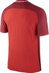 Мужская футболка Nike Strike Top SS, красная цена и информация | Футбольная форма и другие товары | kaup24.ee