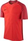 Meeste jalgpallisärk Nike Strike Top SS, punane цена и информация | Jalgpalli varustus ja riided | kaup24.ee