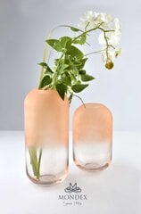 Serenite ваза 28 см цена и информация | Вазы | kaup24.ee
