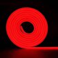 Neoon LED riba punane 12V 5m 8W/m komplekt toiteallikaga цена и информация | LED ribad | kaup24.ee