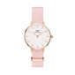 Daniel Wellington Petite 28 Rosewater naiste käekell цена и информация | Naiste käekellad | kaup24.ee