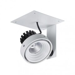 Italux подвесной светильник Patrizio Single цена и информация | Потолочный светильник, 38 x 38 x 24 см | kaup24.ee