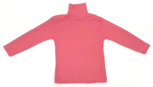 Свитер с длинным вырезом цена и информация | Свитеры, жилетки, пиджаки для девочек | kaup24.ee
