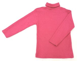 Свитер с длинным вырезом цена и информация | Свитеры, жилетки, пиджаки для девочек | kaup24.ee