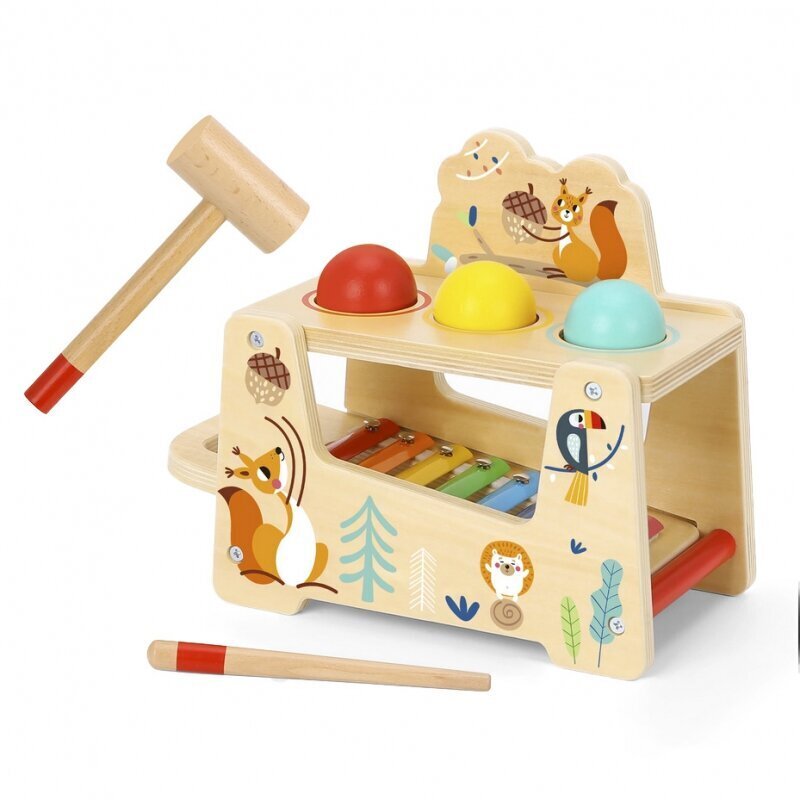 Puidust muusikariistade komplekt 2in1 "Tooky Toy" hind ja info | Imikute mänguasjad | kaup24.ee