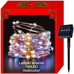 Световая гирлянда уличная 100 LED, водонепроницаемая 11393 цена и информация | гирлянда, 10 вел 4 см | kaup24.ee