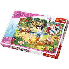 Pusle Trefl Puzzle Disney Princess hind ja info | Pusled | kaup24.ee