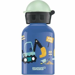 Бутылка для воды Sigg 9001.9 (Пересмотрено A+) цена и информация | Бутылки для воды | kaup24.ee