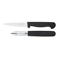Ножи Amefa Polypro (2 шт) цена и информация | Ножи и аксессуары для них | kaup24.ee