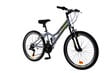 Laste jalgratas N1 MTB 1,0 24", hall цена и информация | Jalgrattad | kaup24.ee