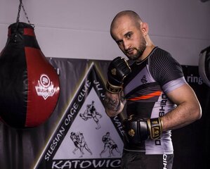 MMA kindad Bushido E1V8 hind ja info | Poksivarustus | kaup24.ee