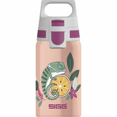 Бутылка для воды Sigg 9000.9 (0,5 л) (Пересмотрено C) цена и информация | Sigg Спорт, досуг, туризм | kaup24.ee