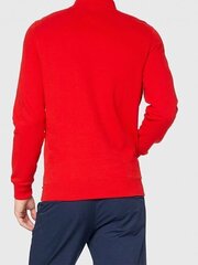 Джемпер мужской Tommy Jeans 8720112493232 цена и информация | Мужские толстовки | kaup24.ee