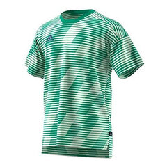 Футболка Adidas TAN ENG JSY CD8300 цена и информация | Мужские футболки | kaup24.ee