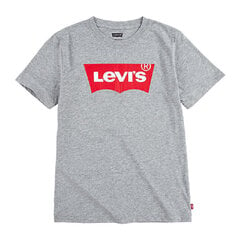 Футболка для мальчиков Levi's Batwing с коротким рукавом, светло-серая S6424505 цена и информация | Рубашки для мальчиков | kaup24.ee