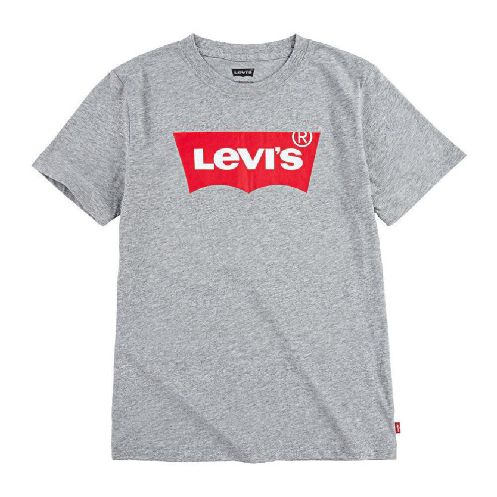 Lühikeste varrukatega T-särk, meeste Levi's Batwing Hall Helehall S6424505 цена и информация | Poiste särgid | kaup24.ee