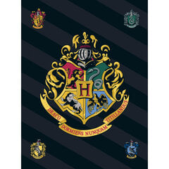 Laste pleed Harry Potter, 100x140 cm hind ja info | Voodikatted, pleedid | kaup24.ee