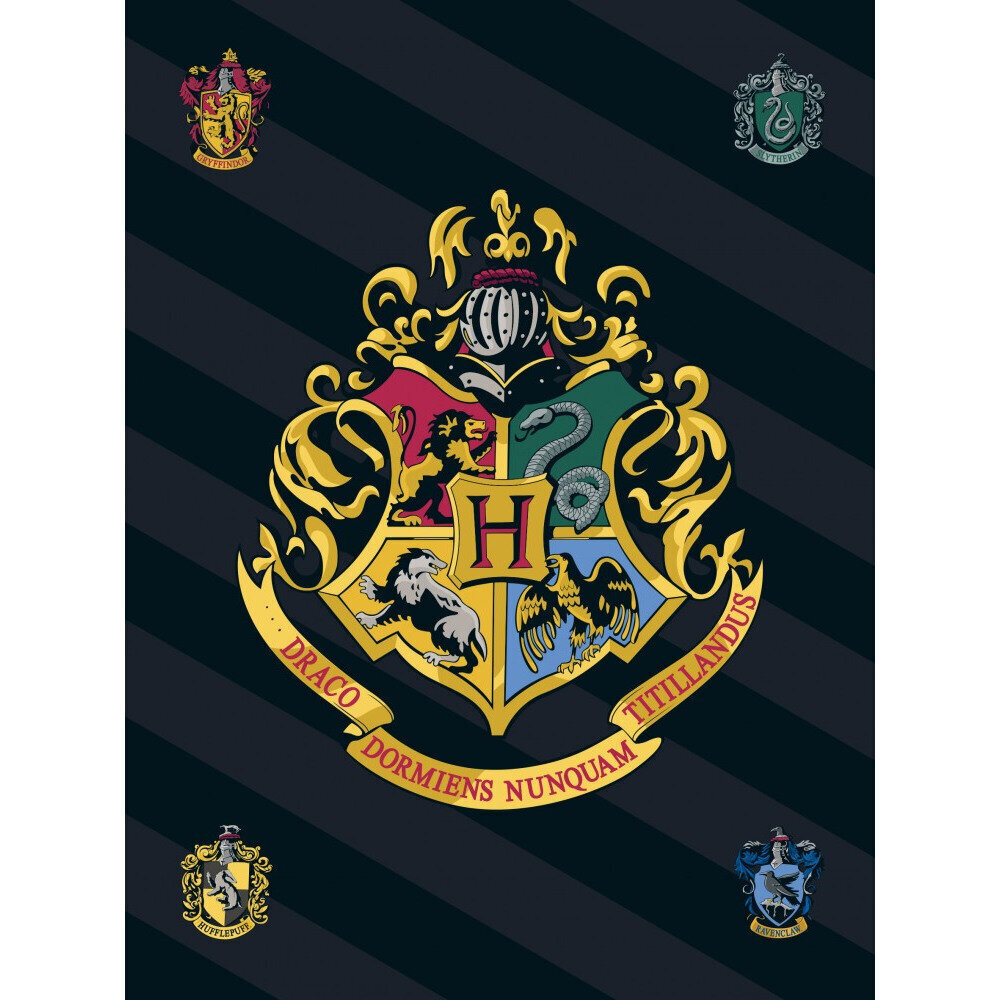 Laste pleed Harry Potter, 100x140 cm hind ja info | Voodikatted, pleedid | kaup24.ee