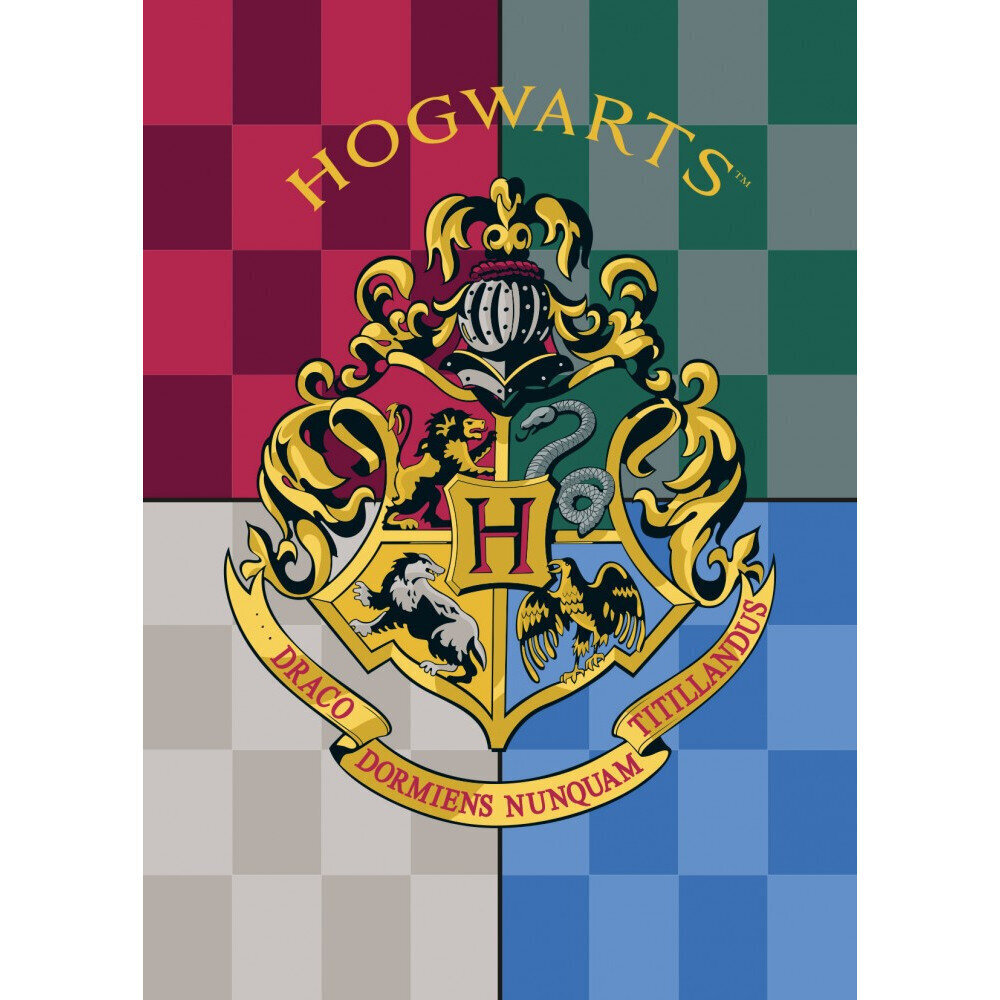 Laste pleed Harry Potter, 100x140 cm hind ja info | Voodikatted, pleedid | kaup24.ee