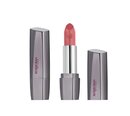 Huulepulk Deborah Milano Long Lasting 4.2 g, Springtime Rose Nude