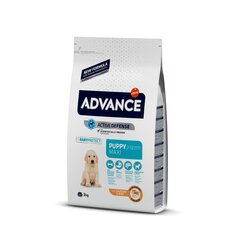 Advance dog maxi puppy 3,0kg - для щенков крупных пород (курица и рис) цена и информация | Сухой корм для собак | kaup24.ee