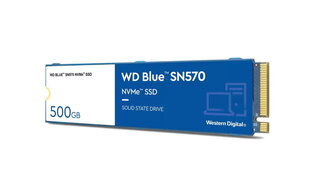 WD WDS500G3B0C hind ja info | Sisemised kõvakettad (HDD, SSD, Hybrid) | kaup24.ee