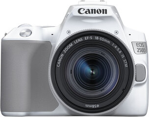 Canon EOS 250D + 18-55мм IS STM Kit, белый цена и информация | Цифровые фотоаппараты | kaup24.ee