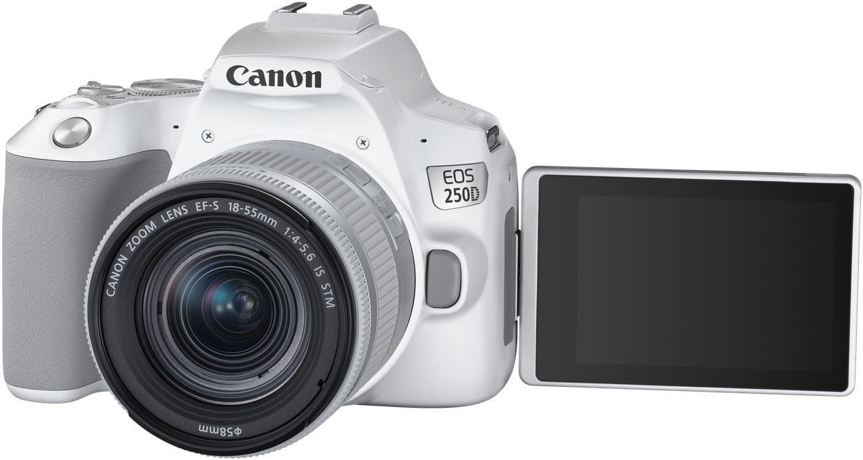 Canon EOS 250D + 18-55mm IS STM Kit, valge цена и информация | Fotoaparaadid | kaup24.ee