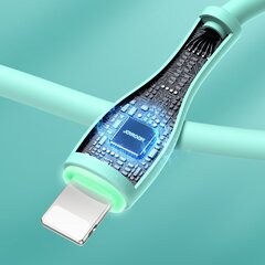 Joyroom USB – välgukaabel 2,4 A 1 m roheline (S-1030M8) цена и информация | Кабели для телефонов | kaup24.ee