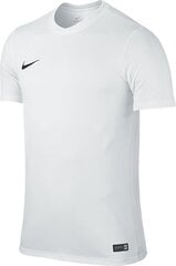 Meeste T-särk Nike, 725891100 hind ja info | Meeste T-särgid | kaup24.ee
