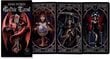 Tarokaardid Anne Stokes Gothic Tarot цена и информация | Esoteerika | kaup24.ee