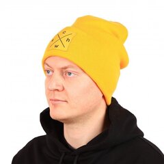 Мужская шапка Beanie CHWK цена и информация | Мужские шарфы, шапки, перчатки | kaup24.ee