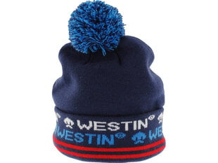 Зимняя шапка Westin Snowroller Beanie цена и информация | Мужские шарфы, шапки, перчатки | kaup24.ee