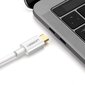 Ugreen ühesuunaline C-tüüpi USB-ekraaniporti 4K 1,5 m adapterkaabel valge (MM139) цена и информация | Mobiiltelefonide kaablid | kaup24.ee