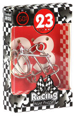 Игра Raicing Wire Puzzle 23 цена и информация | Развивающие игрушки | kaup24.ee