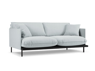 Трехместный диван Interieurs 86 Auguste, светло-серый цена и информация | Диваны | kaup24.ee